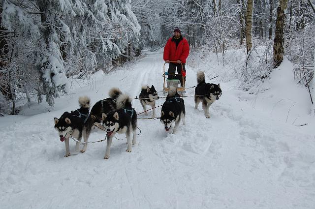 Bílá u Bílého 2008